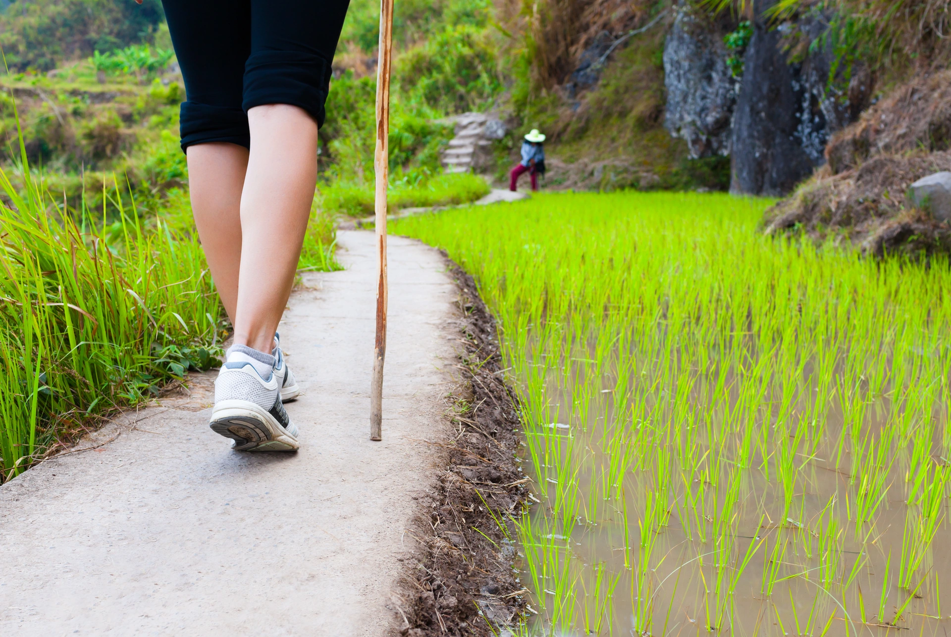 Nonprofit & Community