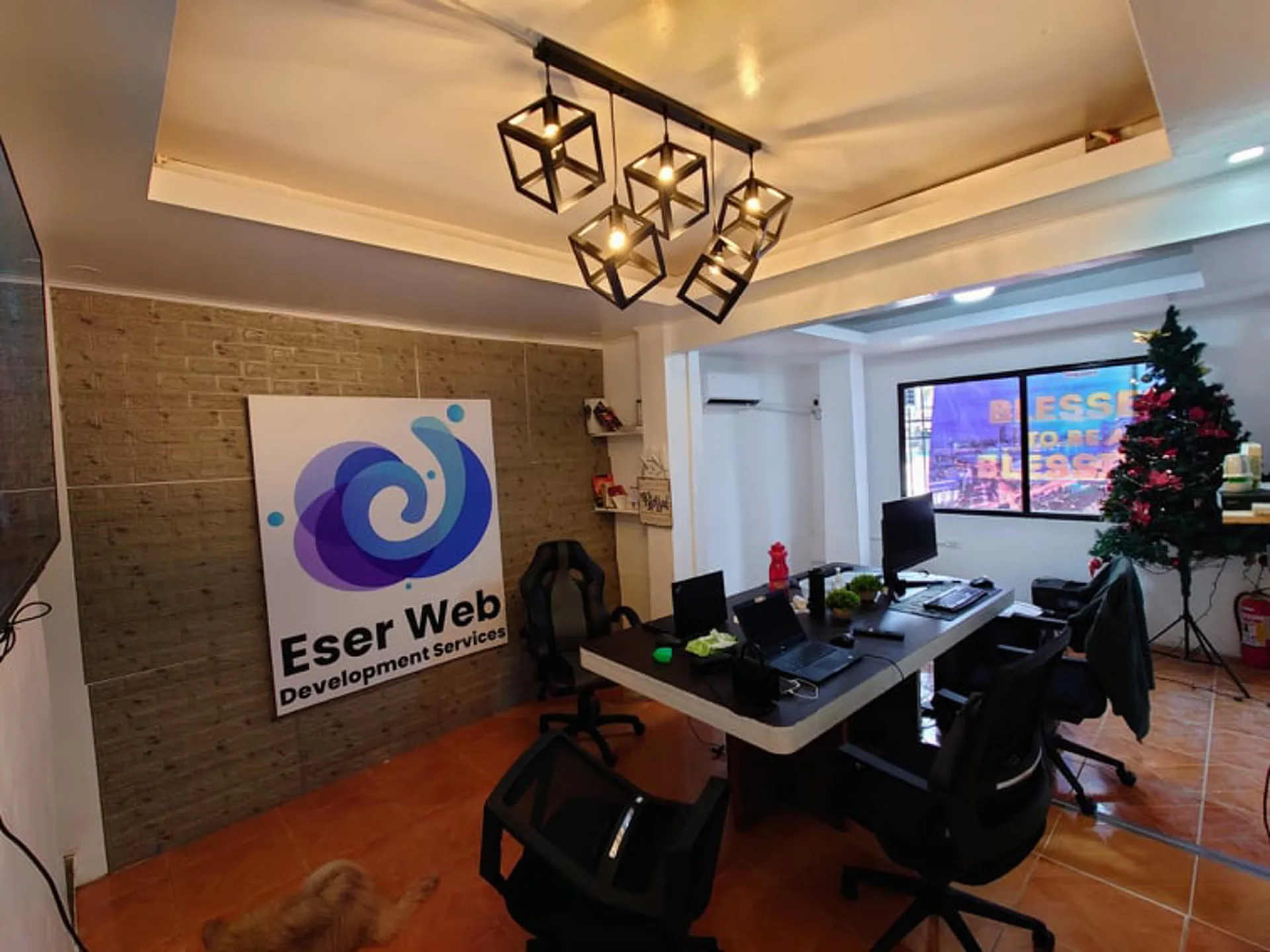 EEC Web Development Services